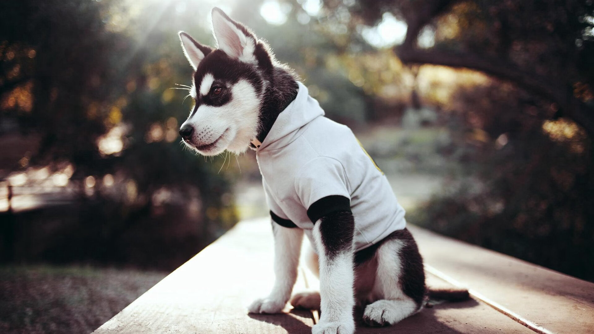 熊猫体育官方网站-_绿军加时逆袭，塔图姆斩获35分_，5年1.95亿!塔图姆与绿军提前续约