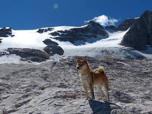 “西甲赛事精彩不断,明星球员表现抢眼”,西甲知名球员