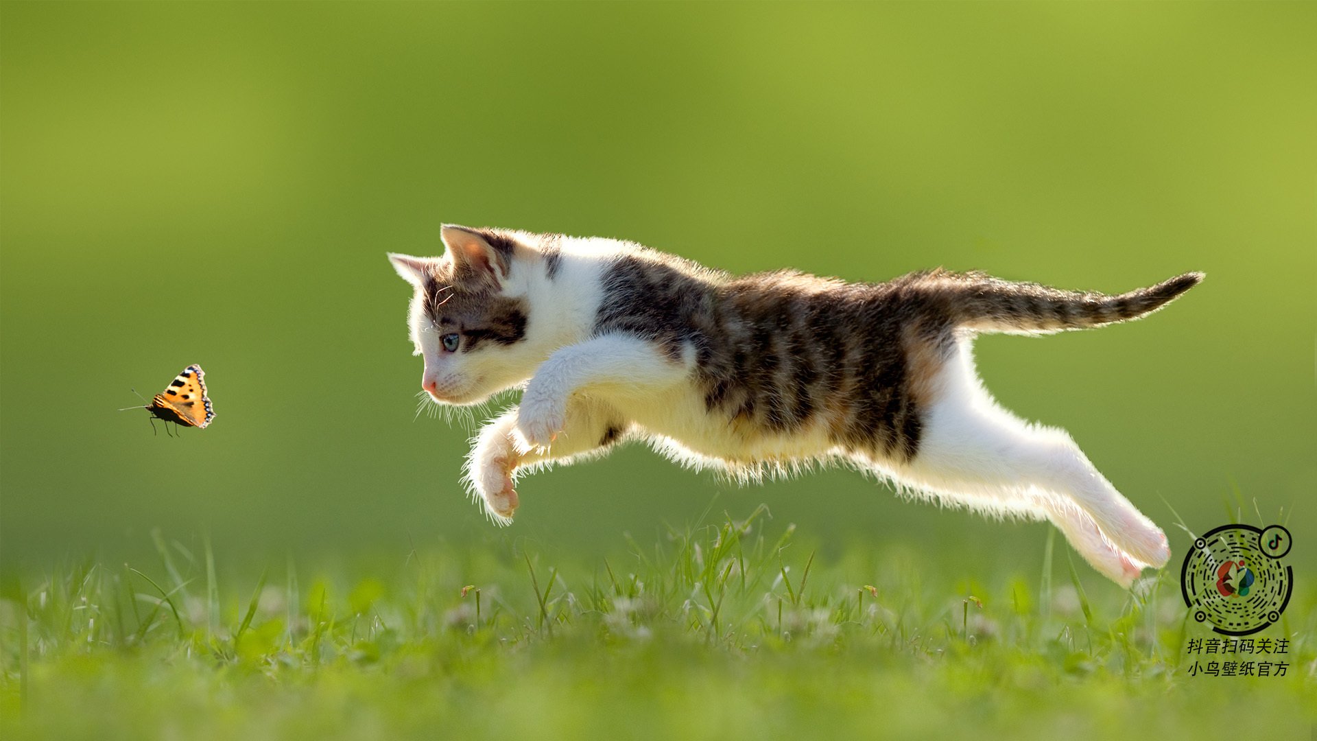 熊猫体育全站-“青训产业链升级，推动中国足球职业化进程”，中国足球青训人才