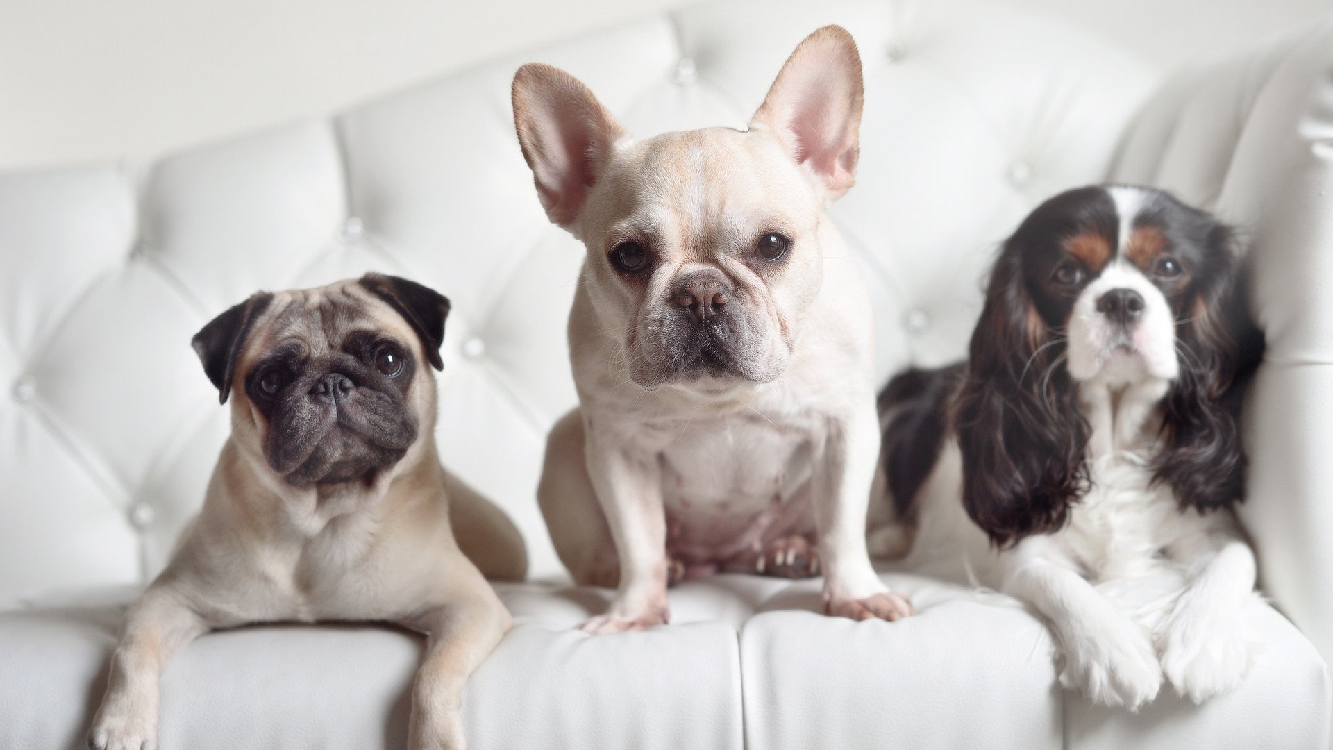 【团队配合】场上合作战术如何赢得比赛,团队上场方式