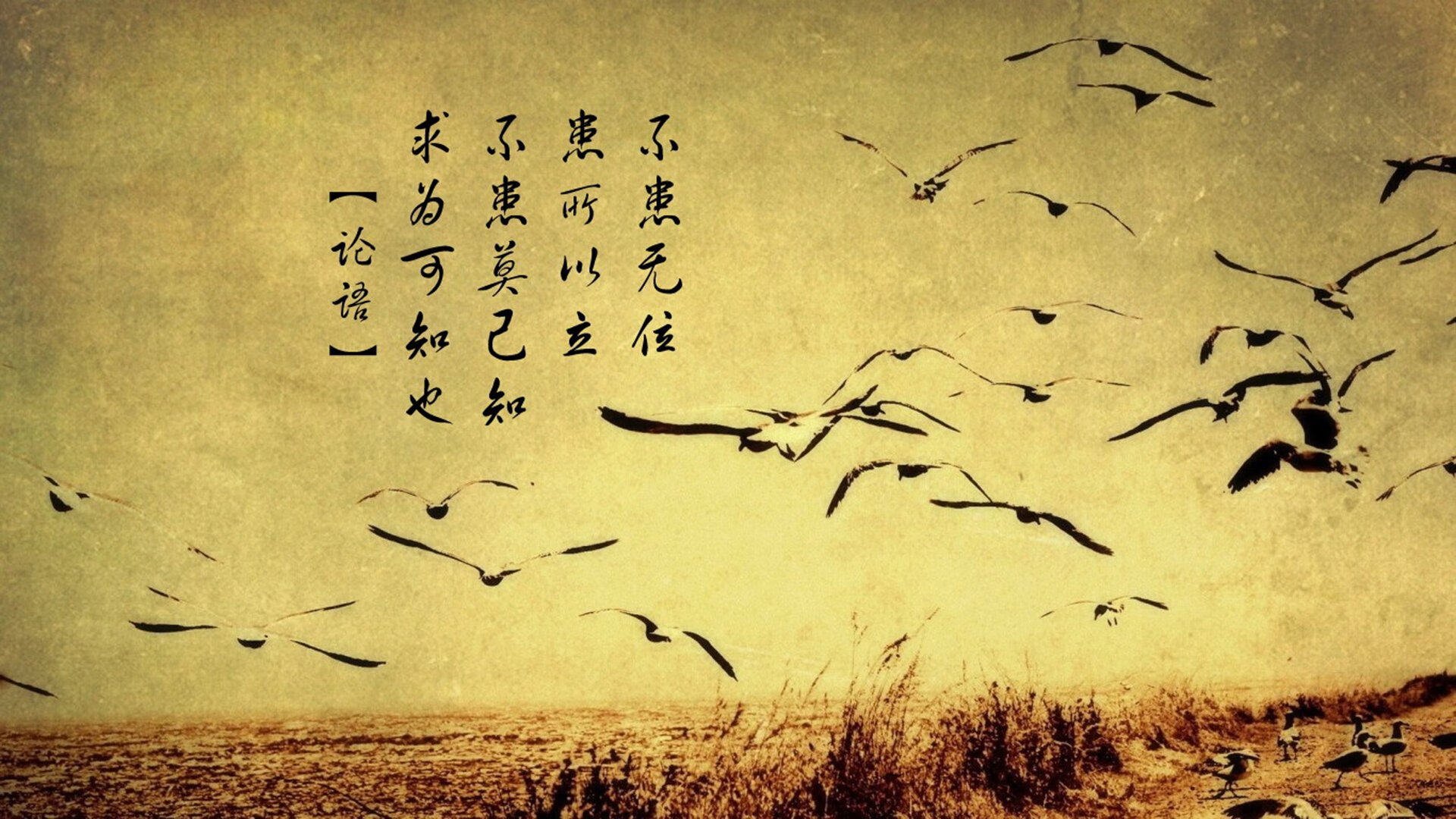 熊猫体育官网-【国际比赛】丁俊晖携中国队勇夺团体赛金牌，丁俊晖资格赛