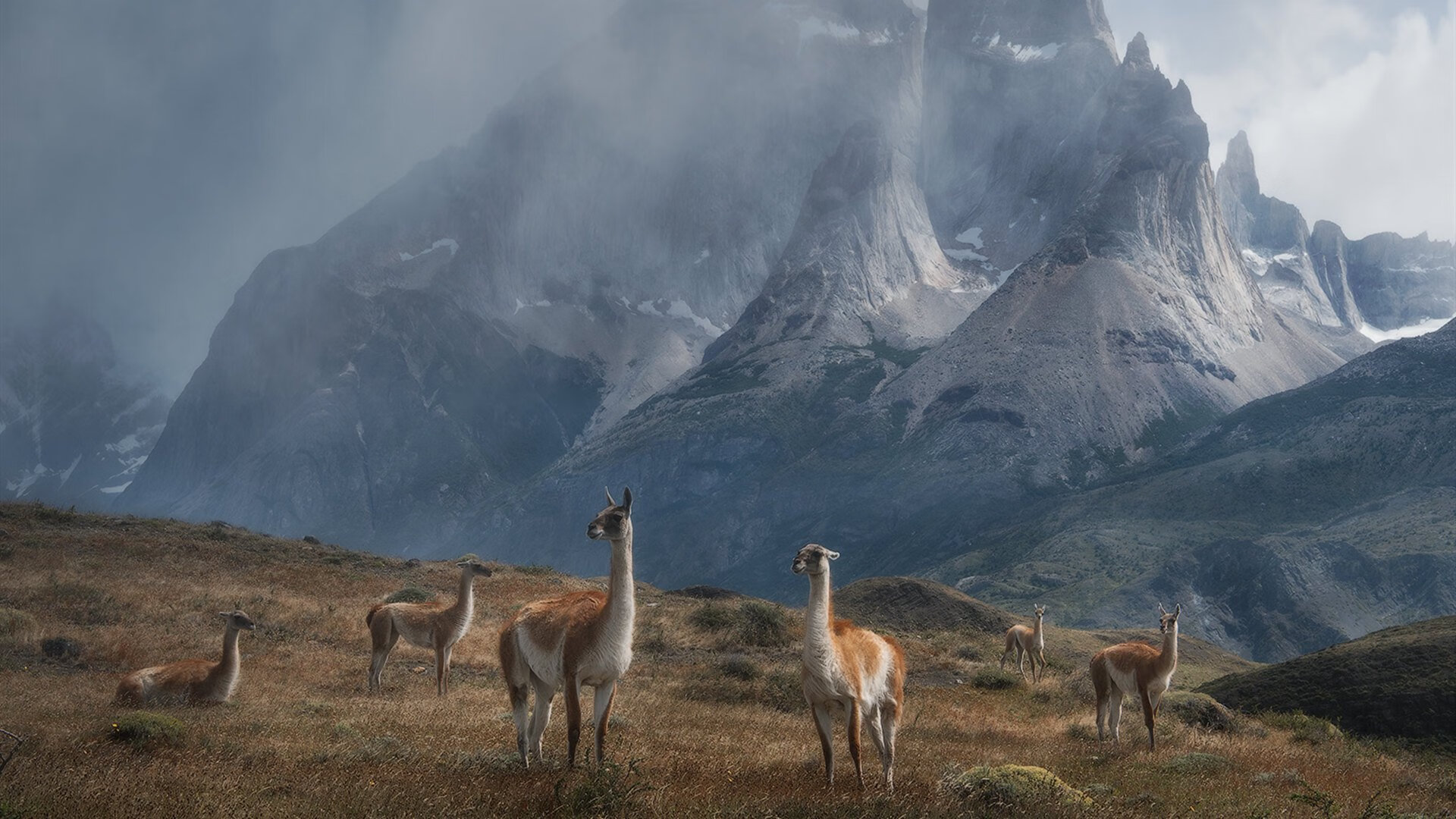 熊猫体育网址-【比赛精彩】丁俊晖如何利用细节战术打破对手防线，丁俊晖新打法