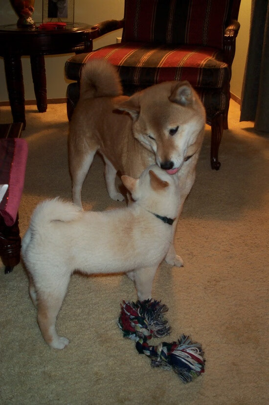 中国足球博物馆将于年底开放,中国国际足球博览会