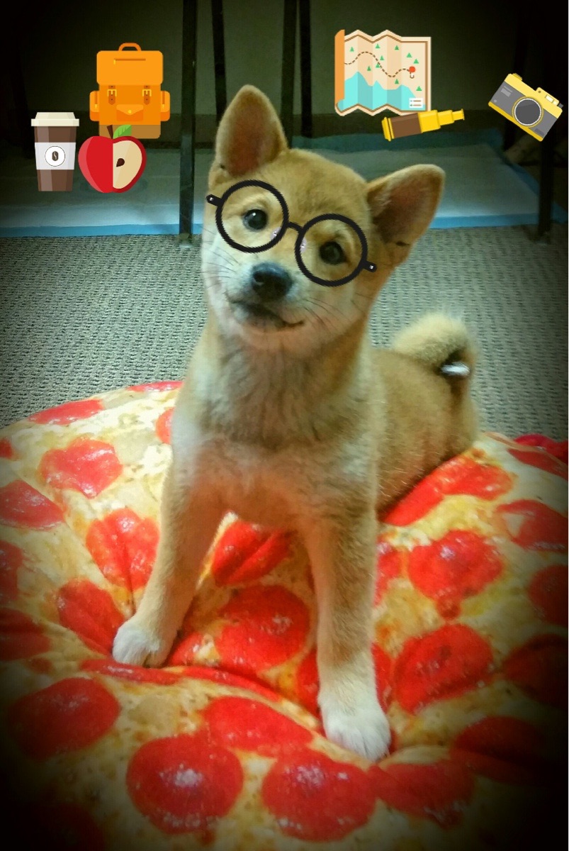 今年联盟最具爆发力的新人是谁？，最近联盟有什么新模式