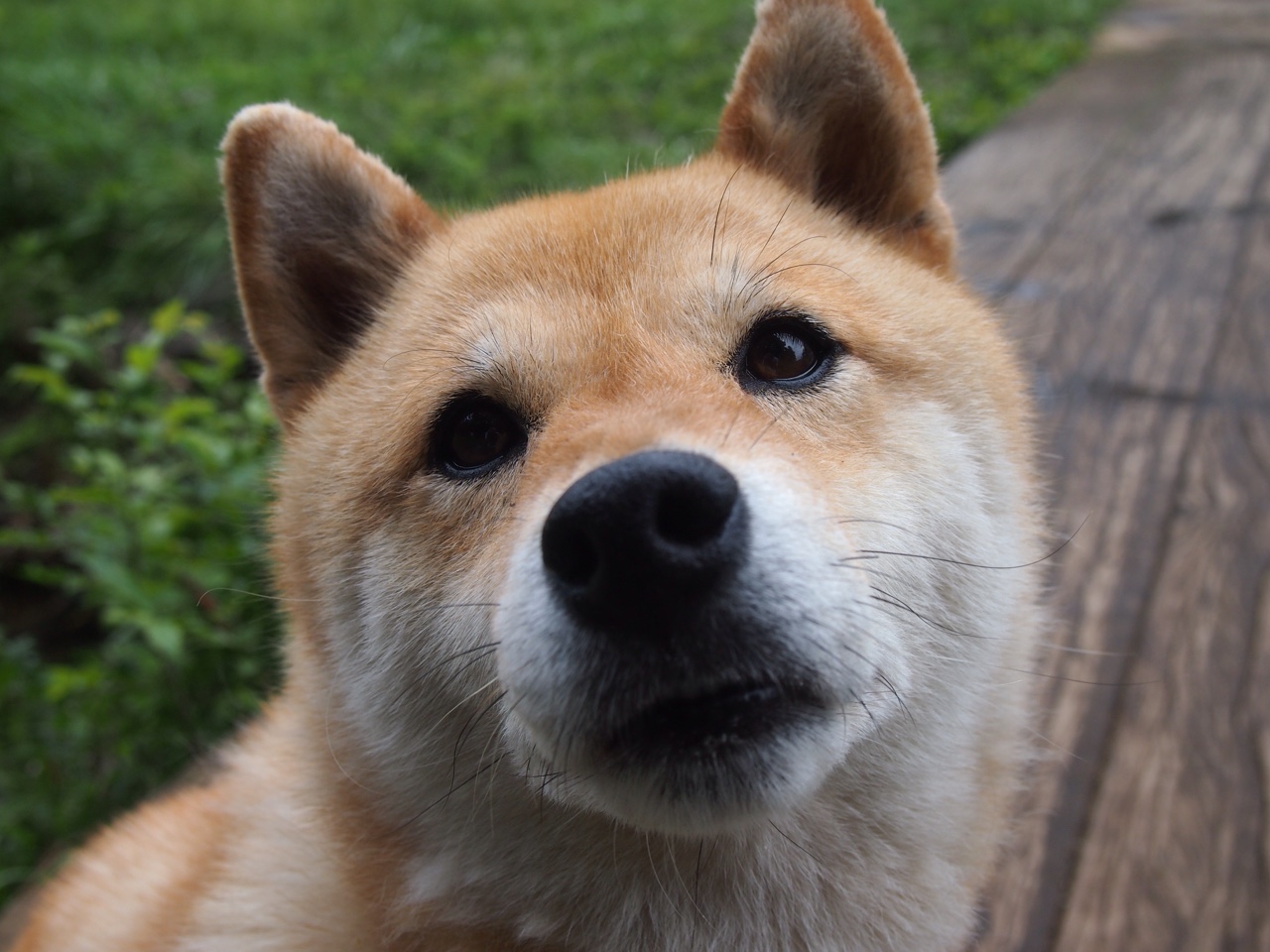 熊猫体育app官网-全国青少年足球裁判员培训竞赛评比全面展开，行业迈向高质量发展