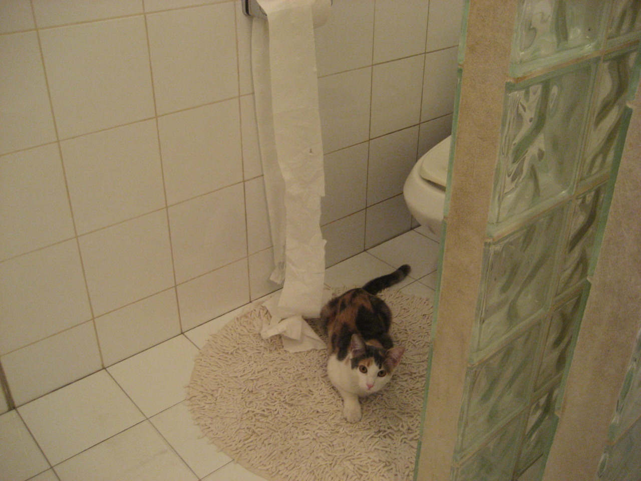 熊猫体育在线登录-季后赛展望：哪支球队最有可能夺冠？，季后赛展望_哪支球队最有可能夺冠呢