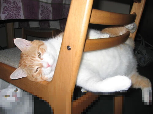 季后赛展望:哪支球队最有可能夺冠?,季后赛展望_哪支球队最有可能夺冠呢