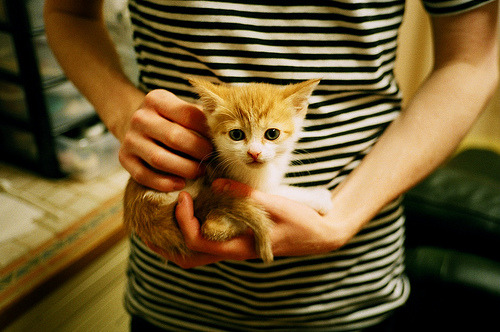 熊猫体育APP-尤文严密防守配合反击，成功遏制对手攻势，尤文战术