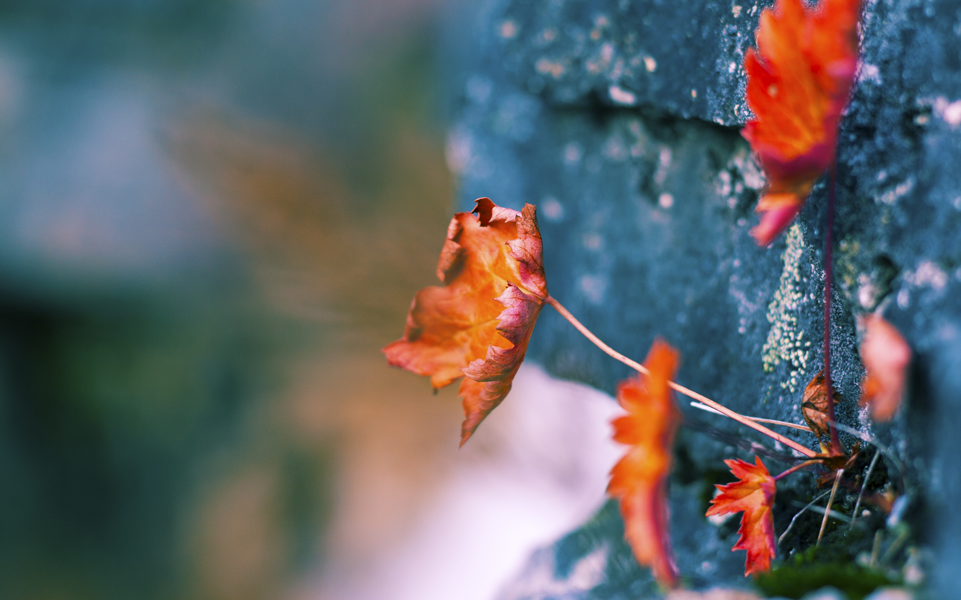 篮球场馆智能化运营管理提升效率,篮球场运营管理方案