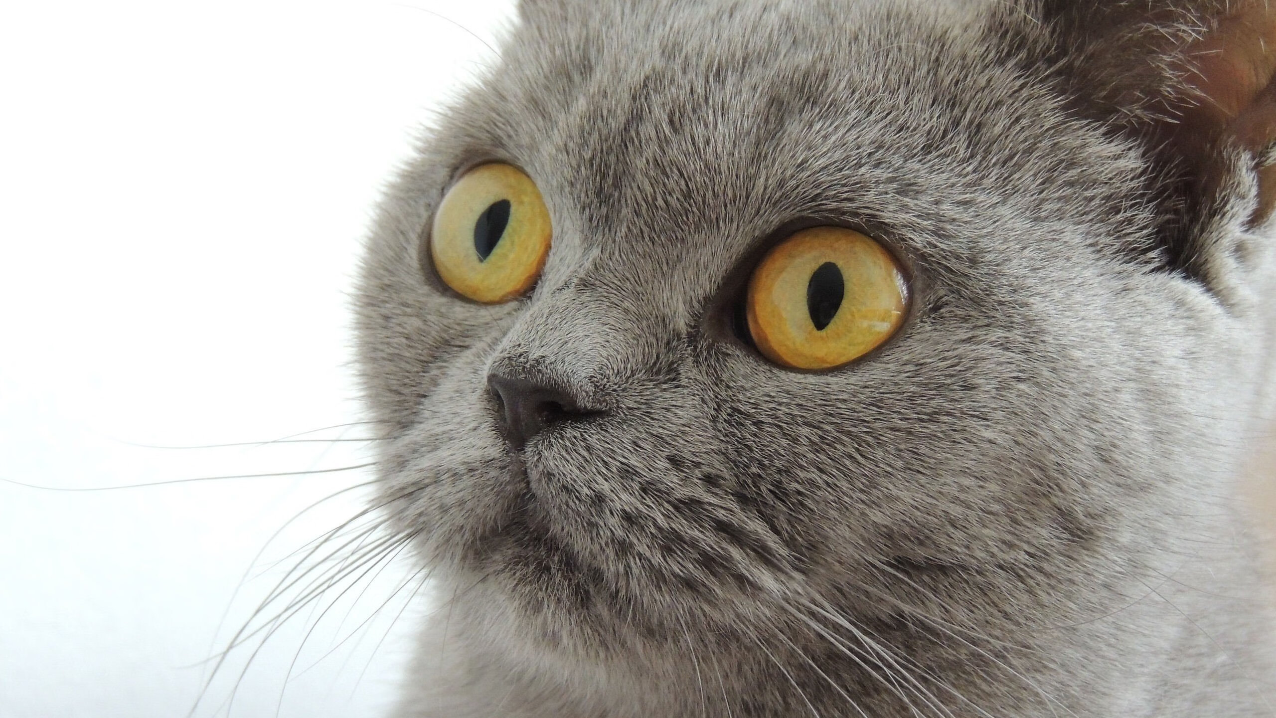 熊猫体育在线官网-青岛帆船基地升级改造，备战国际大赛，青岛帆船基地附近酒店