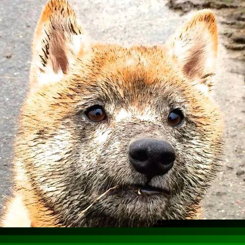 青岛帆船基地升级改造,备战国际大赛,青岛帆船基地附近酒店