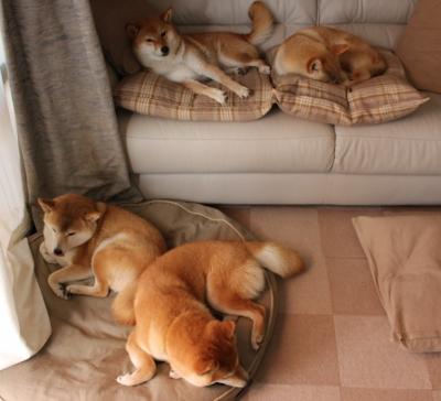 熊猫体育app官网-eStarPro关键比赛连胜不断，estarpro夺冠