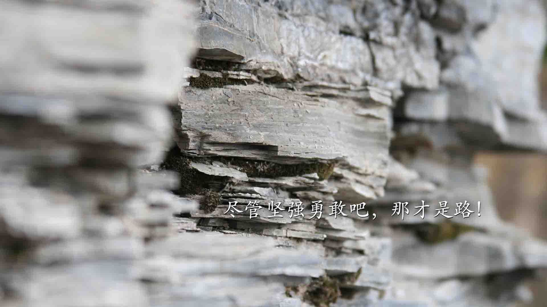 国际米兰遭遇AC米兰逆转,惨遭败绩,国际米兰ac米兰比分预测