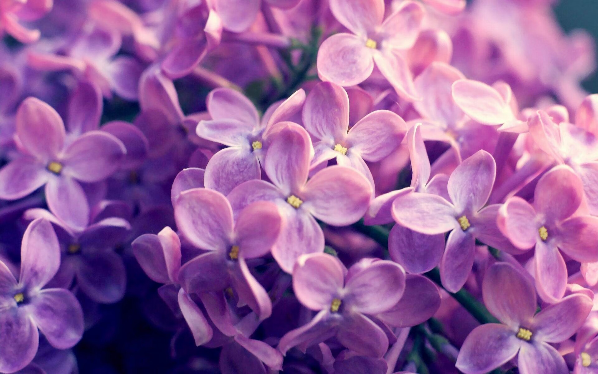 熊猫体育在线登录-官方乒乓球协会发布技术标准，乒乓球技术统计