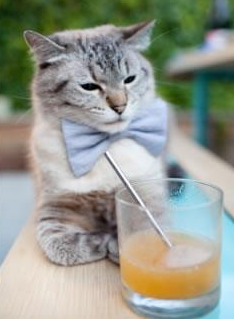 熊猫体育APP-巴黎豪胜里昂，展现雄心向对手发起挑战，巴黎豪庭