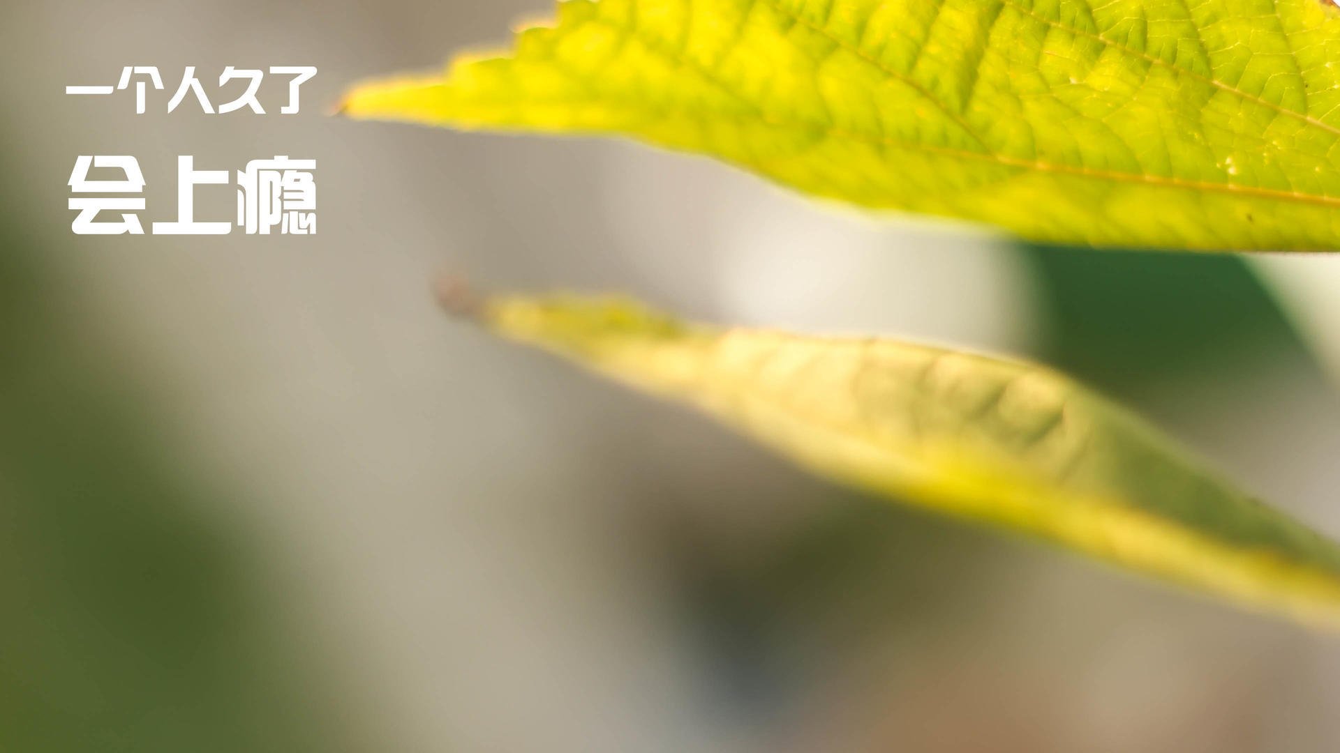 Panda Sports-拜仁慕尼黑客场2-0战胜莱比锡，积分榜上升，拜仁慕尼黑2队