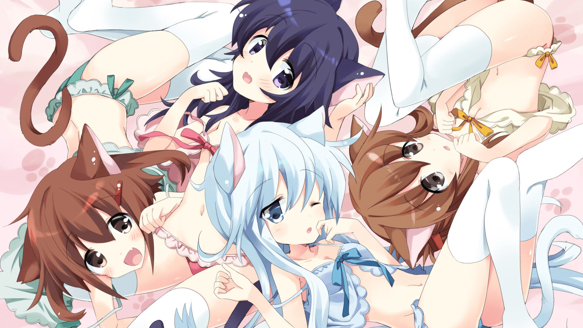 是否应定期公布球队战术演练数据透明度