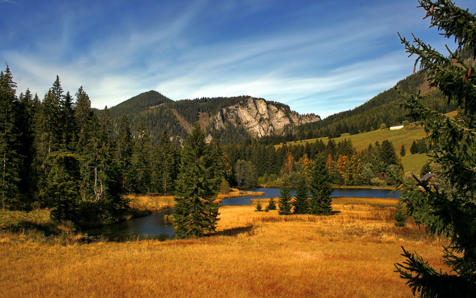 熊猫体育直播-深度解析体操空中动作翻转技巧，体操空中旋转