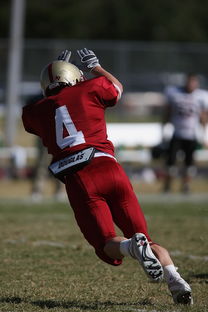 熊猫体育app-五大联赛最具统治力的球队如何打造，五大联赛良心球队