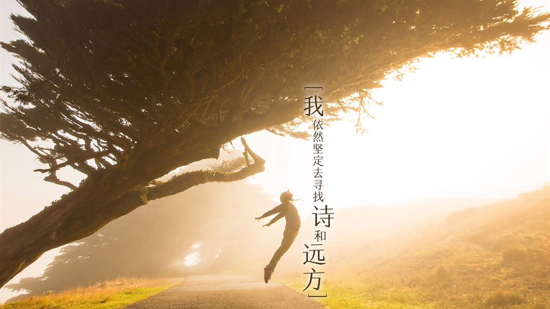 熊猫体育下载-联盟抢断能力最强的后卫解读，联盟抢断王