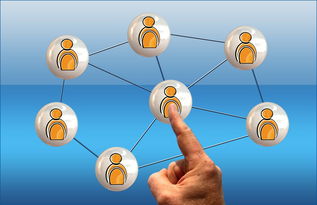 熊猫体育官网-高校电竞联赛冠军诞生 战术与团队缺一不可，高校电竞联盟挑战赛全国总决赛