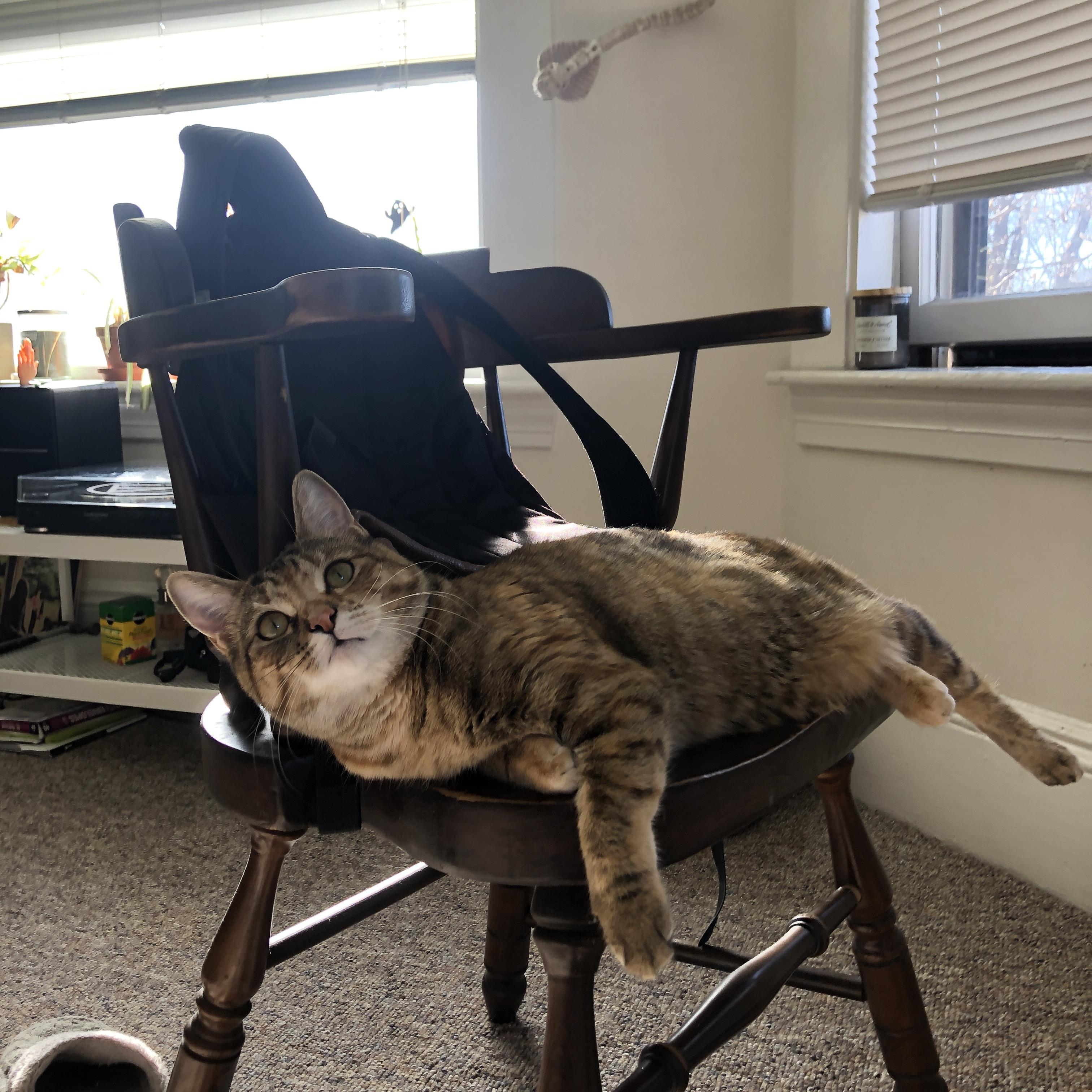 熊猫体育全站-世界杯压力之战：极限挑战，精彩不断！，2021世界杯压注在哪里压