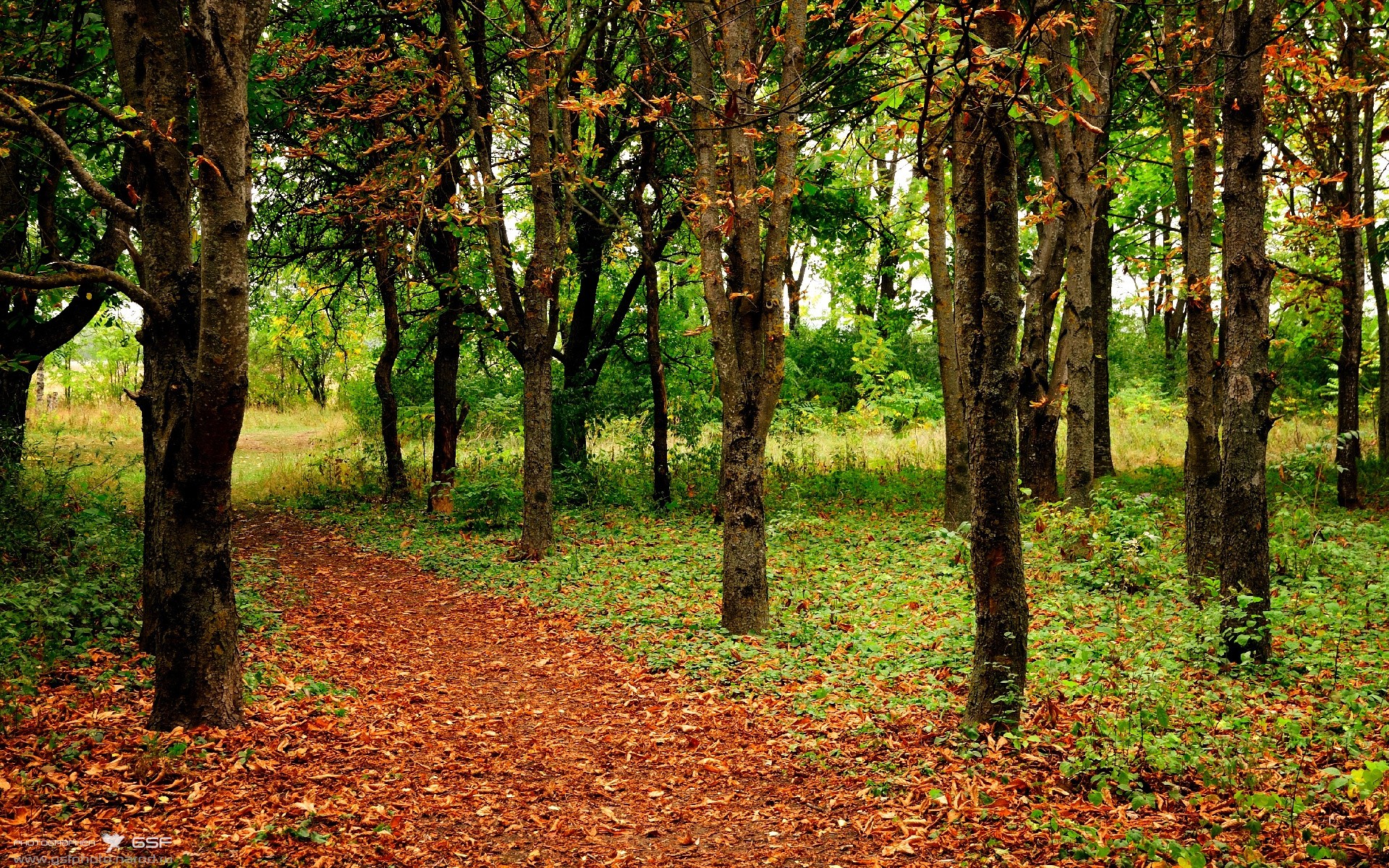 乌干达女篮在非洲锦标赛中持续突破,体育事业蒸蒸日上,乌干达女子精英联赛
