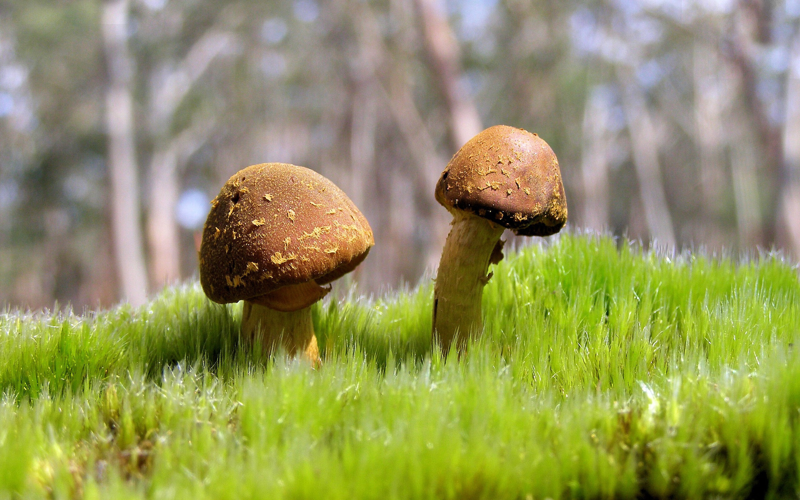 熊猫体育app-热火计划在客场进行球迷答谢仪式，热火主场